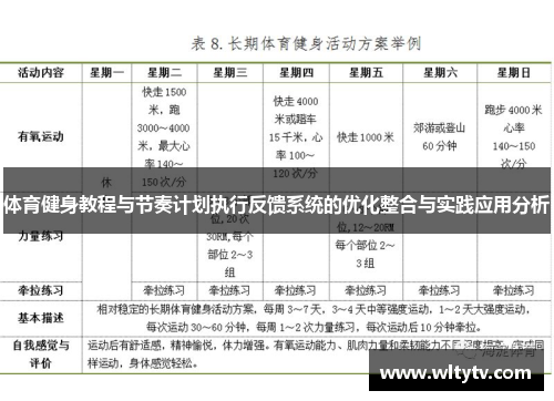 体育健身教程与节奏计划执行反馈系统的优化整合与实践应用分析
