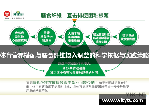 体育营养搭配与膳食纤维摄入调整的科学依据与实践策略